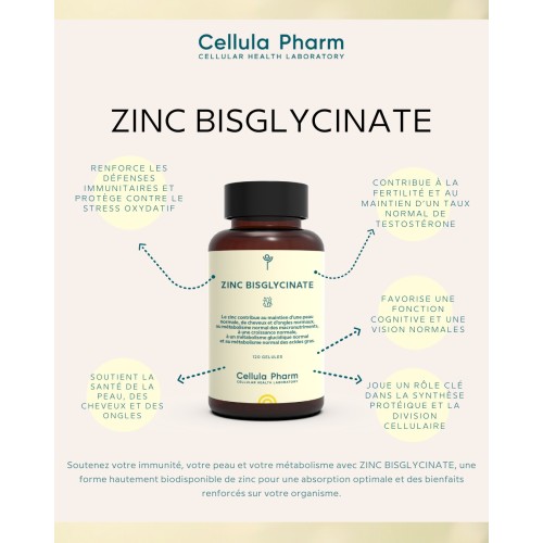 Zinc Bisgycinate Cellula Pharm - Bienfaits