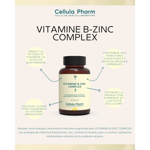 Vitamine B-Zinc Complex – Réduction de la fatigue et soutien immunitaire | Cellula Pharm - Bienfaits