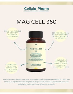 Mag Cell 360 | Magnesium bisglycinate, taurine and B vitamins to reduce fatigue and stress - Cellula Pharm 2