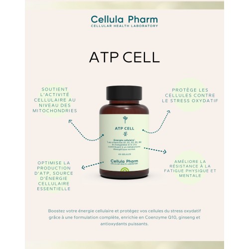 ATP CELL | Antioxydants et vitamines pour l’énergie cellulaire – Cellula Pharm