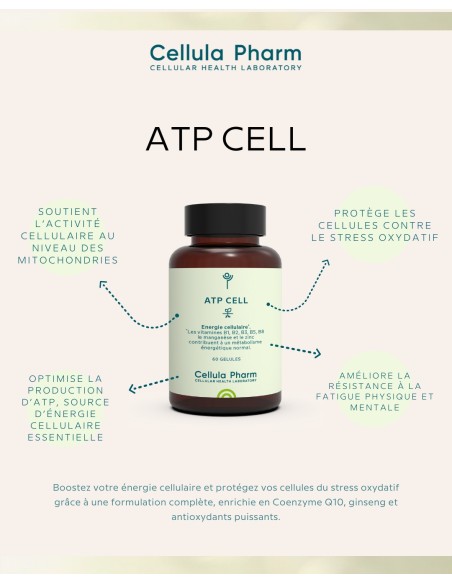 ATP CELL | Antioxidants and vitamins for cellular energy - Cellula Pharm
