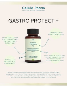 Gastro Protect+ | Digestive support and gastric protection - Cellula Pharm 2