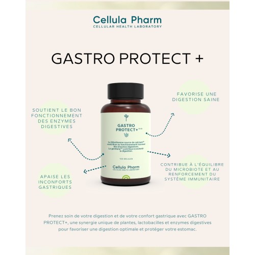 Gastro Protect+ – Soutien digestif et protection gastrique | Cellula Pharm - Bienfaits
