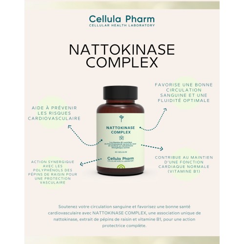 Nattokinase Complex – Soutien cardiovasculaire et circulation sanguine | Cellula Pharm - Bienfaits