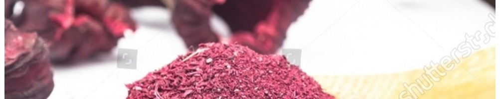 Our nutritional supplements for cellular health | Cellula Pharm