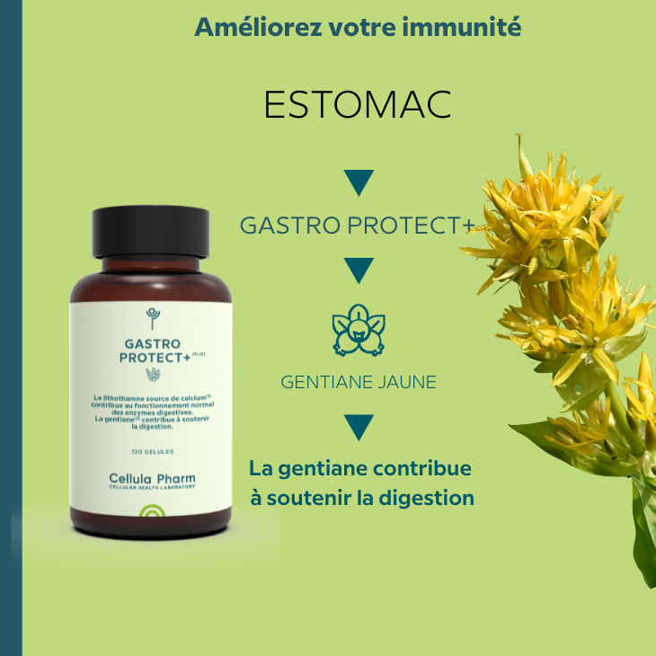Gastro Protect Cellula Pharm
